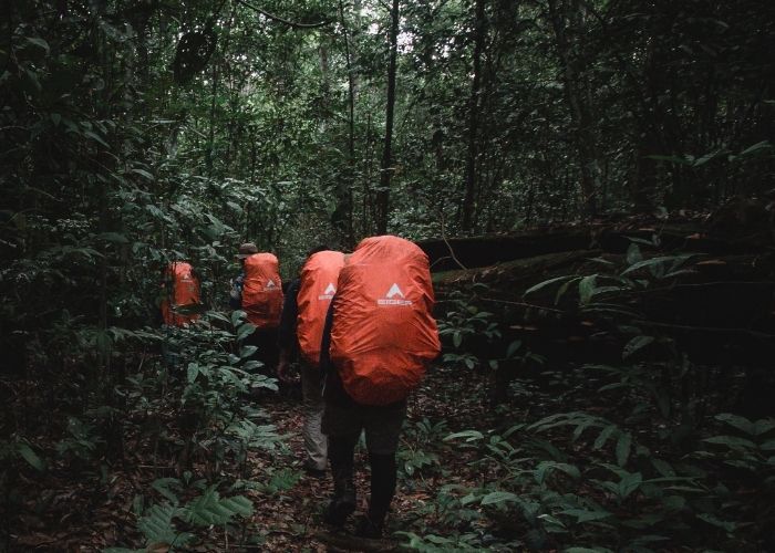 PENDAKI HUTAN
