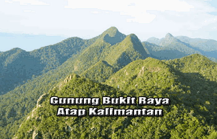 Gunung Bukit Raya Atapnya Kalimantan