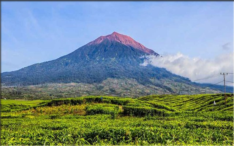 Gunung Mande Rabiah Keindahan Menawan di Ranah Minang