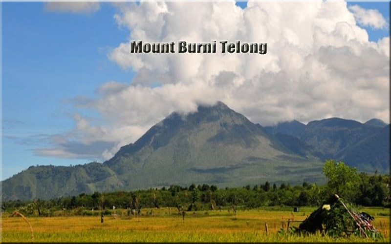 Gunung Burni Telong Puncak Megah di Tengah Hutan Sumatera