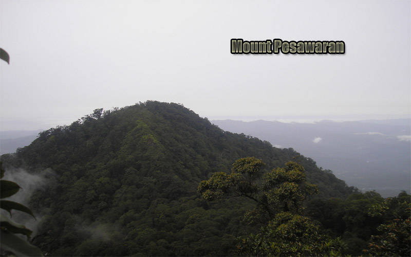 Keindahan Gunung Pesawaran Permata Tersembunyi di Lampung