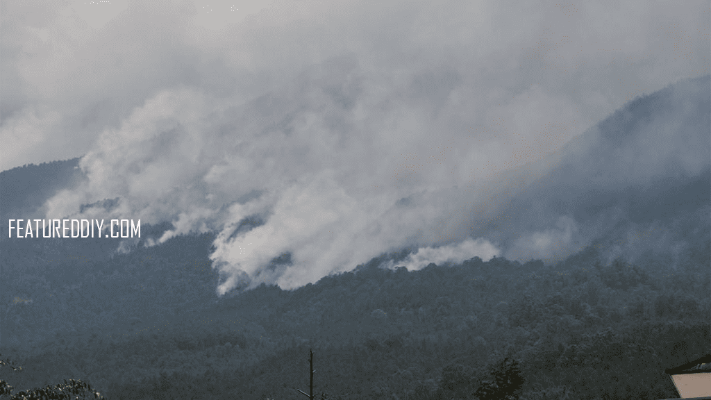 Waspada Meningkatnya Kebakaran Hutan dan Lahan