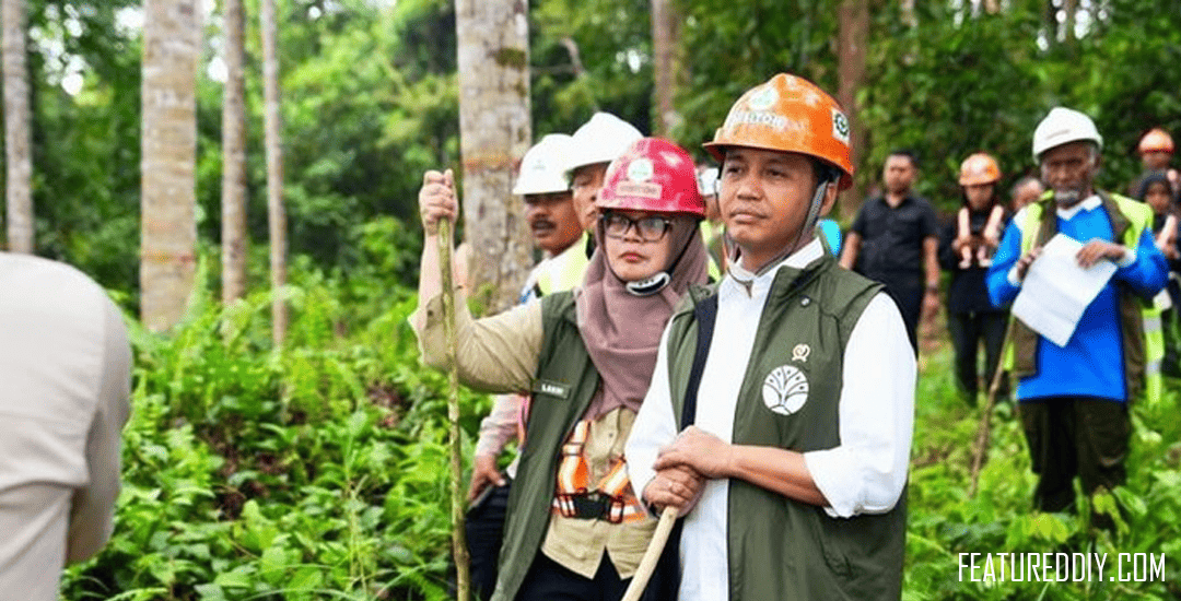 hutan