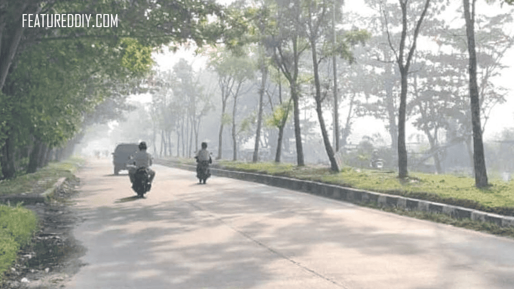 Wilayah Pekanbaru Diselimuti Kabut Asap Kebakaran Hutan