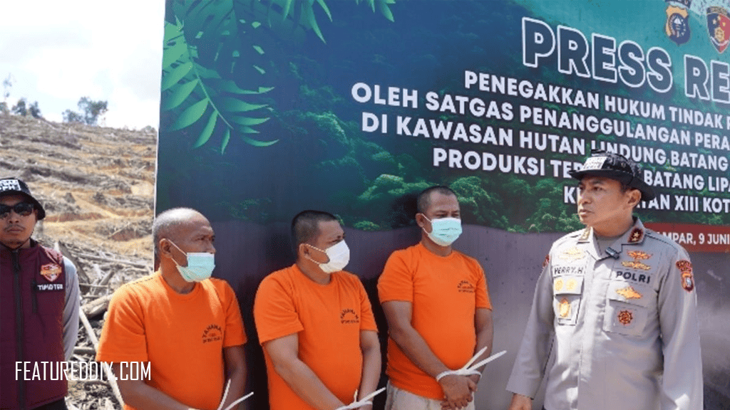 Kerusakan Hutan di Kampar dan Ketegasan Kapolda Riau